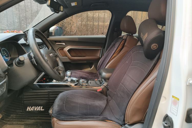 Used Haval H6 2017 Blue Label 2.0T Automatic Two-Wheel Drive Leading Model
