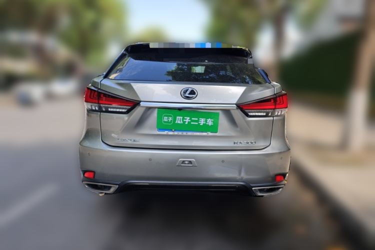 Used Lexus RX 2021 300 Four-Wheel Drive Special Edition Rear