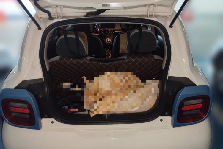 Used ORA Black Cat 2021 301 km Basic Version