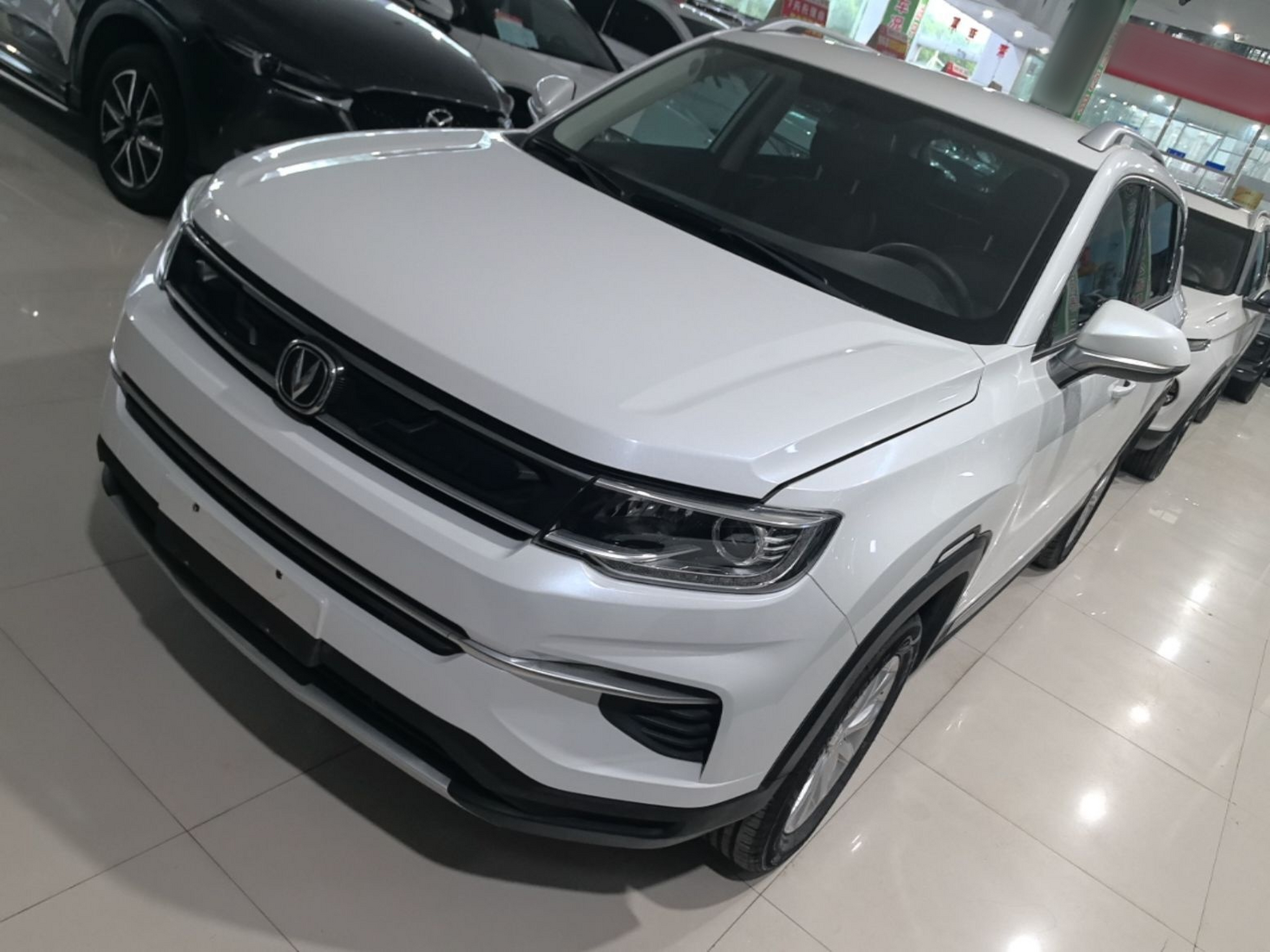 Under Front Bumper