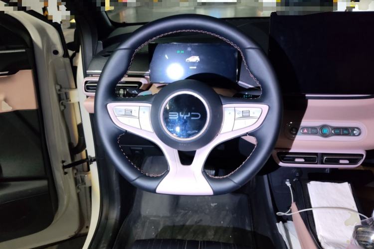 Used BYD Seagull 2025 Smart Drive Version 305 km Freedom Edition
