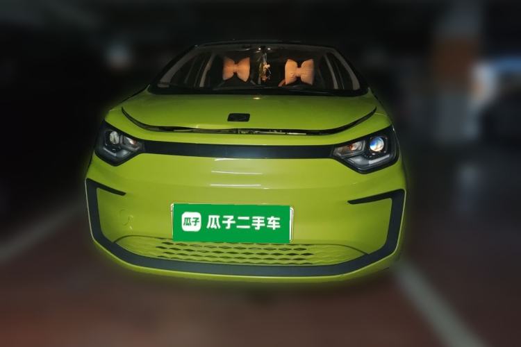 Used SOL E10X 2022 Flower Fairy Design Four-Leaf Clover