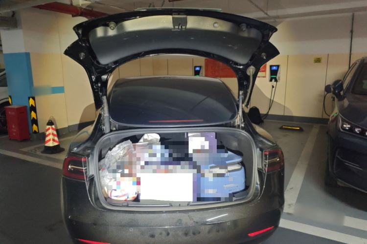 Used Tesla Model 3 2021 Standard Range Rear-Wheel Drive Upgraded Version 3D6 Trunk