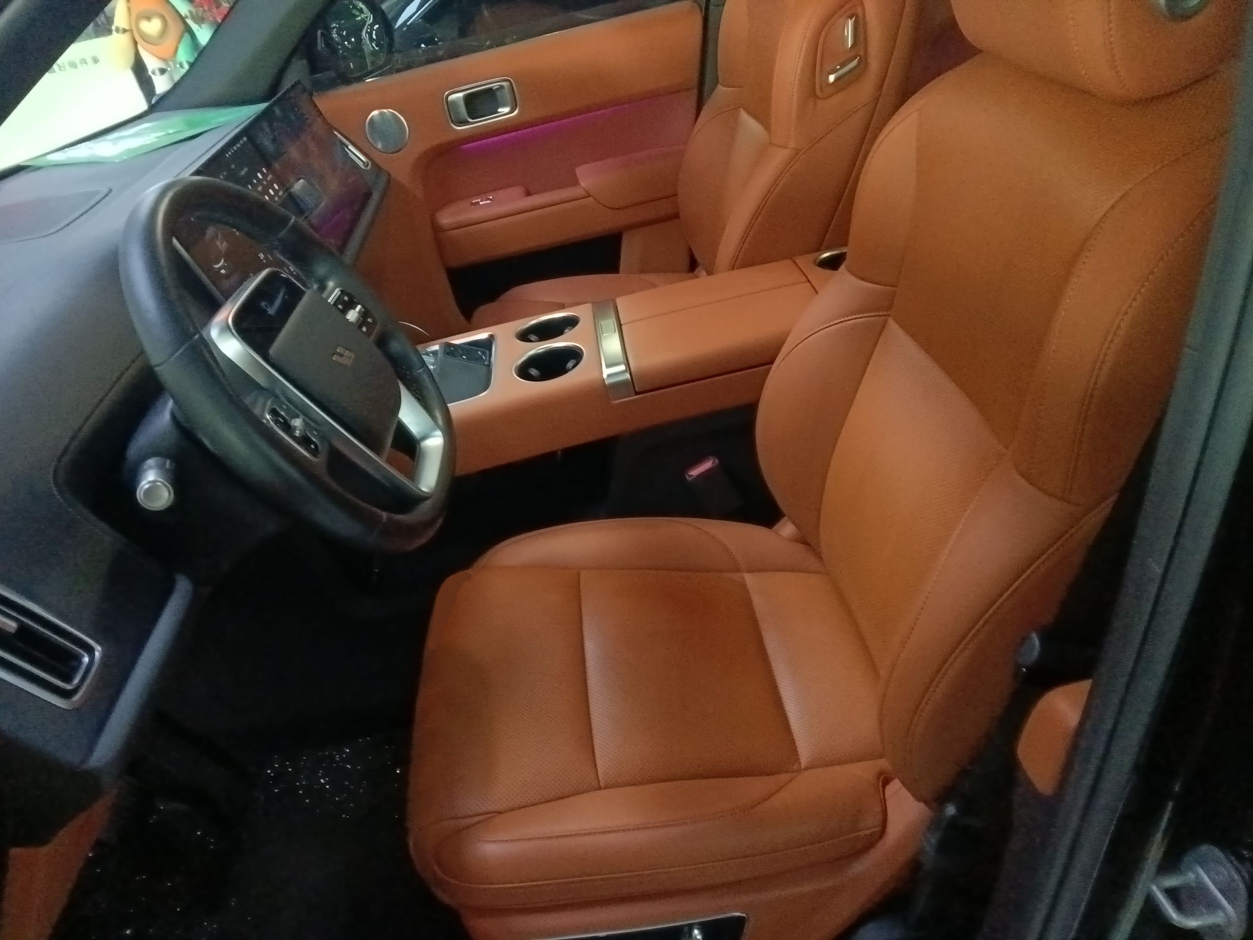 Interior delantero