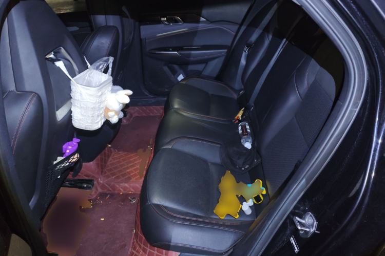 Used Lynk & Co 03 2020 2.0TD Automatic Jing Pro Edition Left Rear Seat