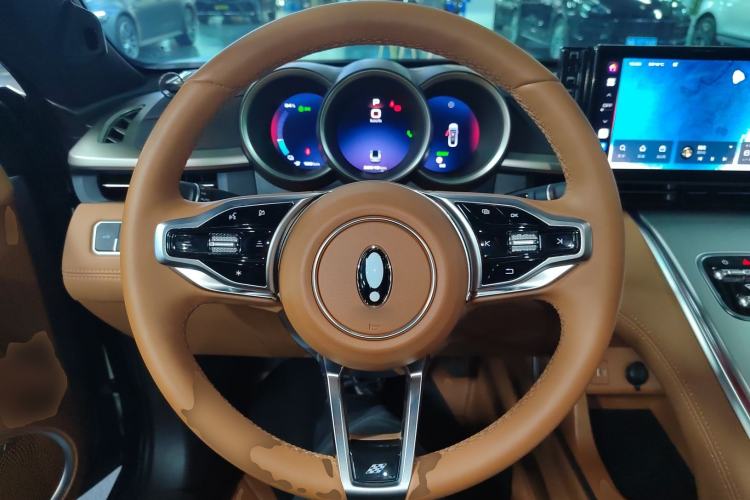 Used ORA Lightning Cat 2022 555 km Luxury Edition