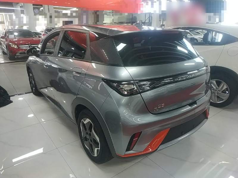 Used BYD Dolphin 2021 405 km Fashion Edition — 4