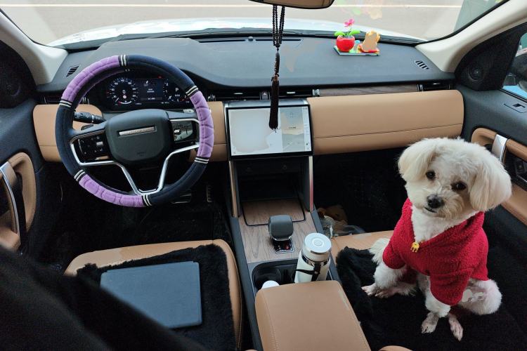 Used Land Rover Discovery Sport 2025 249 PS Performance Tech Edition