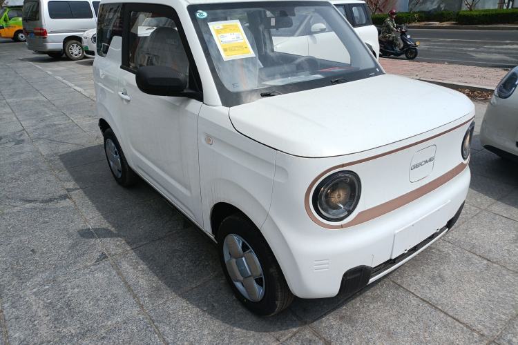 Used Geely Galaxy Panda 2024 Panda Mini 200km Endurance Bear
