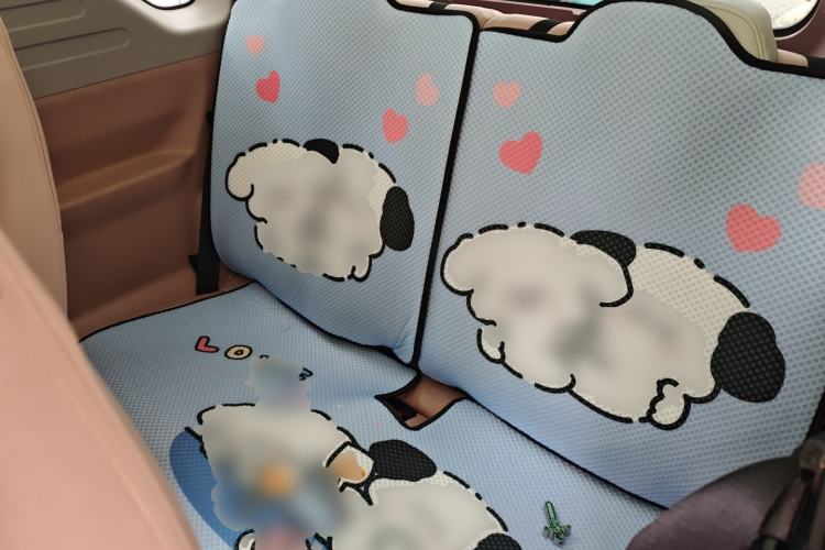 Used Geely Galaxy Panda 2023 Panda Mini 200km Dynamic Bear Left Rear Seat