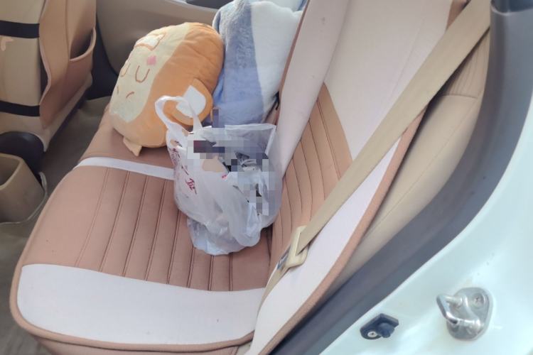 Used Hyundai Verna (older generation) 2010 Sedan 1.4L Manual Luxury GLS Trim Left Rear Seat