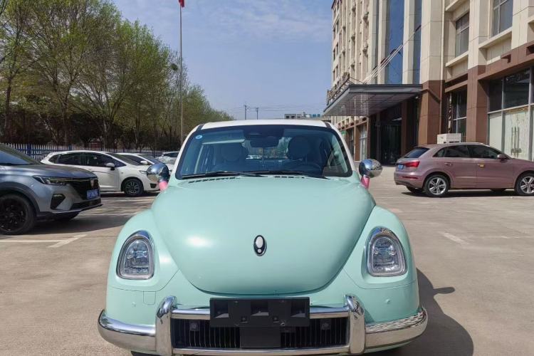 Used ORA Ballet Cat 2022 401 km Nutcracker Edition Exterior 5