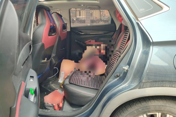 Used CHANGAN OSHAN X5 2021 1.5T DCT Prestige Edition Left Rear Seat