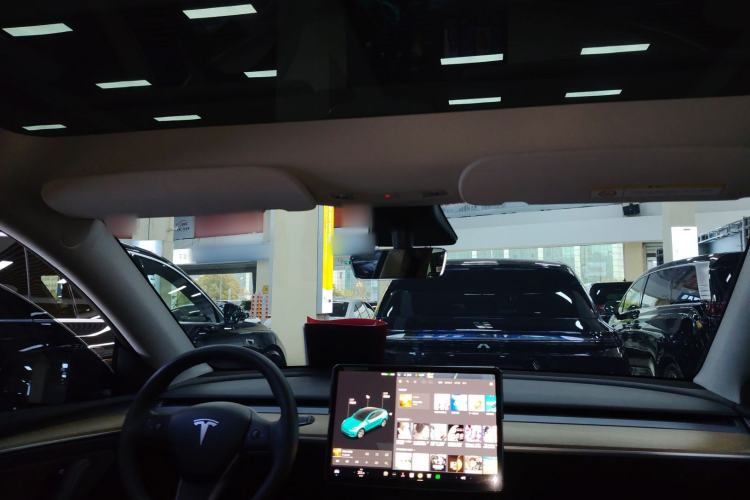 Used Tesla Model Y 2021 Standard Range Rear-Wheel Drive Version Headliner