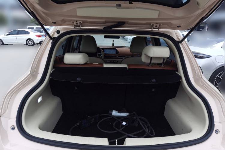 Used ORA Good Cat 2021 400km Standard Range Venus Edition Lithium-Ion Battery
