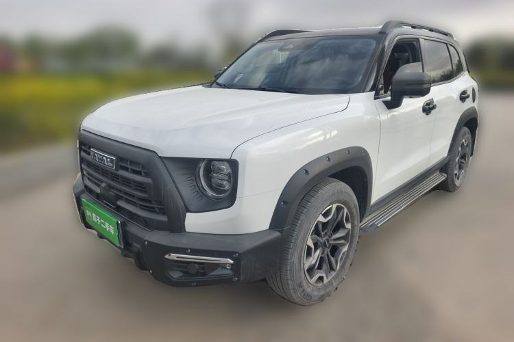 Used Haval DARGO 2024 2.0T DCT Chinese Rural Dog Edition