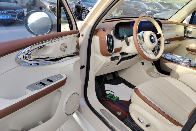 Used ORA Ballet Cat 2023 401 km Luxury Version
