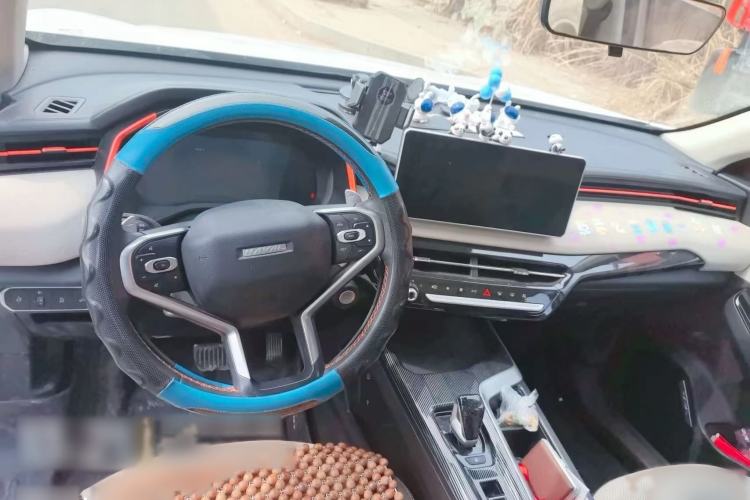 Used Haval LHERY 2021 High-Performance Version 1.5T Golden Rabbit