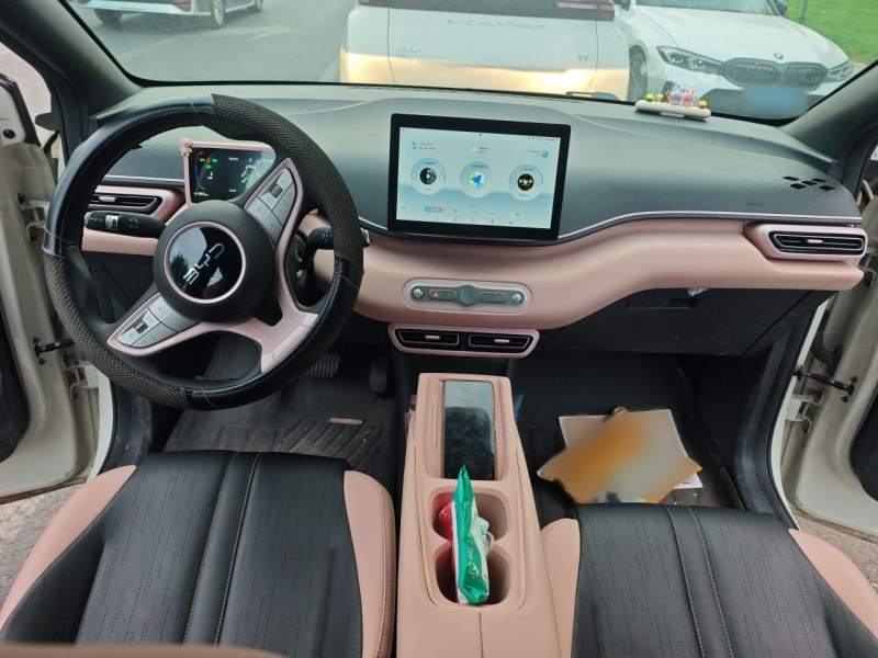 Used BYD Seagull 2025 Intelligent Driving Version 305 km Dynamic Edition — 19