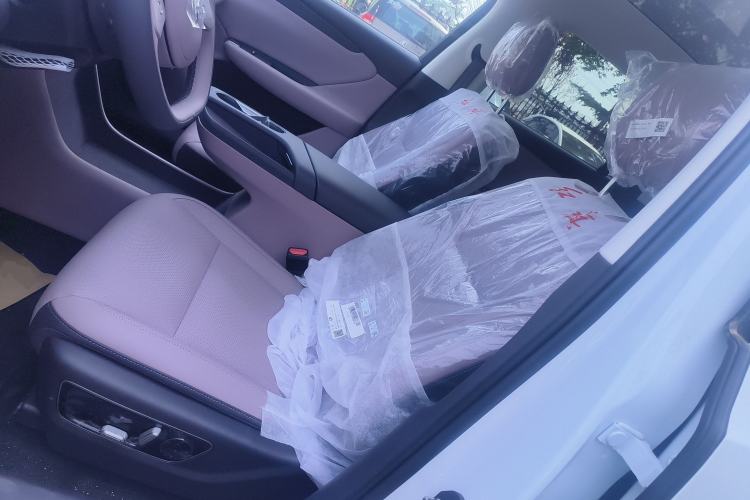 Used Hongqi Tiangong 06 2025 520 Left Front Seat