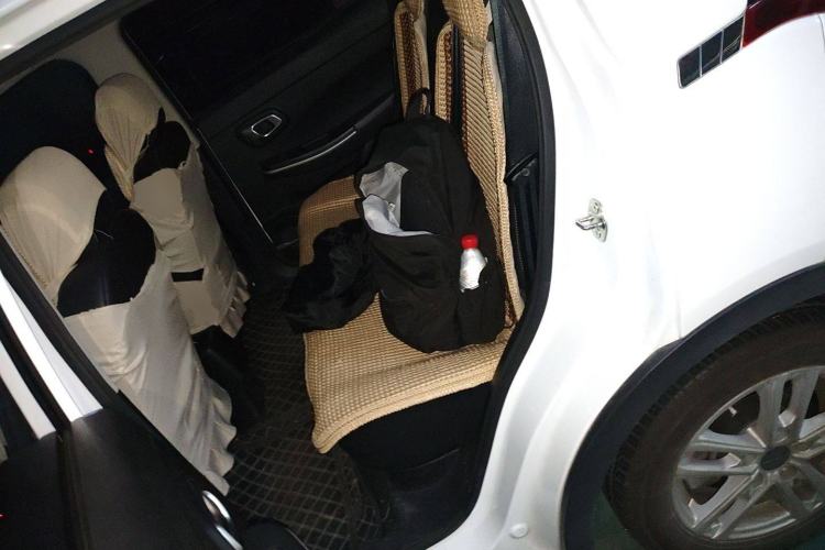 Used Dayun Yuehu 2022 30.66 kWh Two-Wheel Drive Standard Version