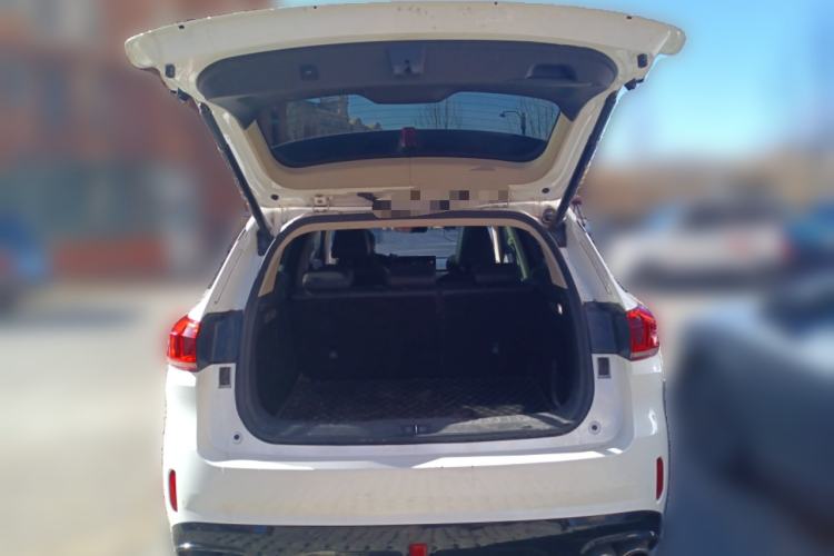 Used Wey VV6 2020 2.0T Two-Wheel Drive Smart Protection+