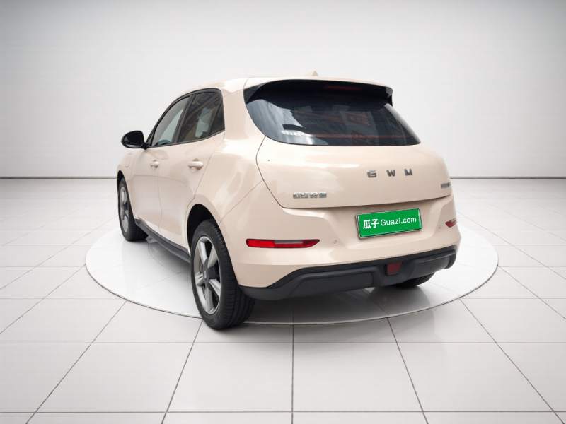 Used ORA Good Cat 2025 Model, 430 km Luxury Version — 13