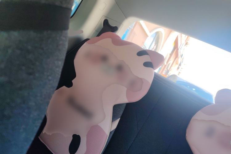 Used Chery QQ Ice Cream 2022 120km Milkshake Phosphate Lithium-Iron Left Rear Seat