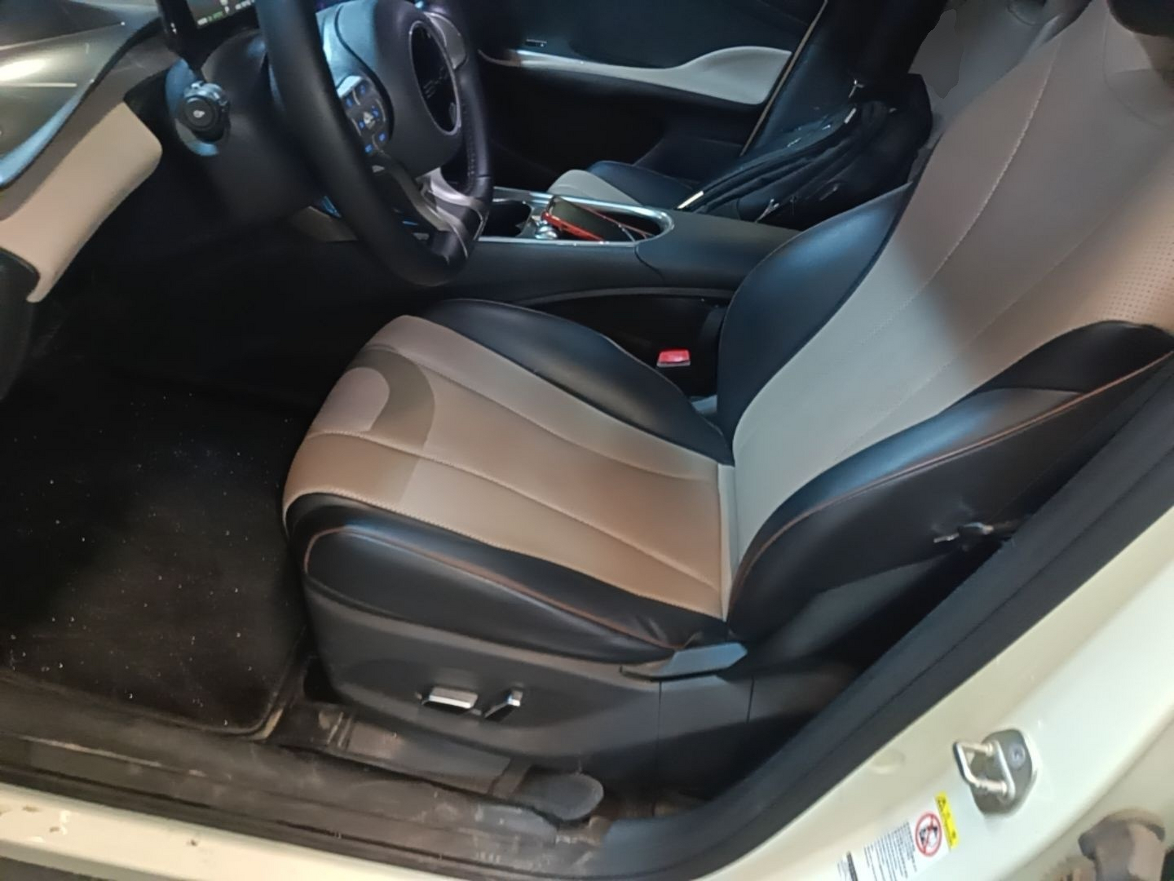 Interior delantero