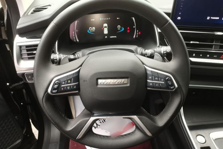 Used Haval H6 2021 National Trend Edition 1.5T Automatic Champion Version
