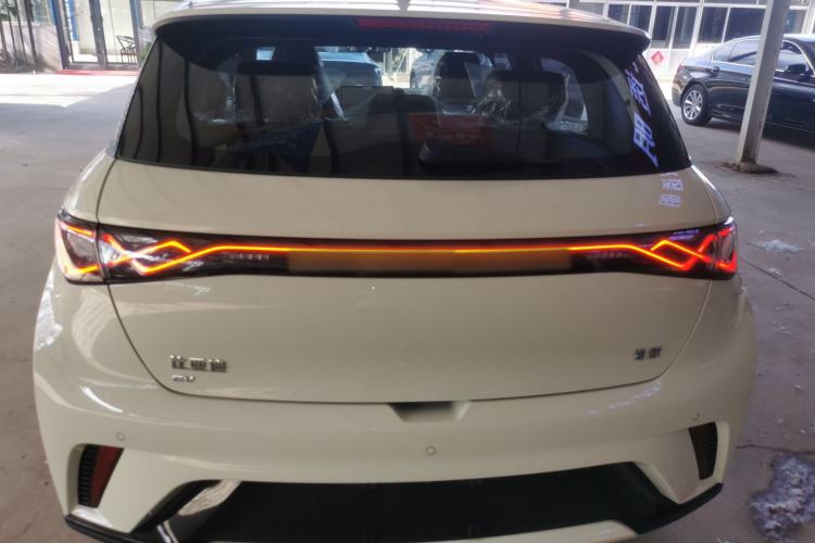 Used BYD Dolphin 2025 420km Free Edition Rear