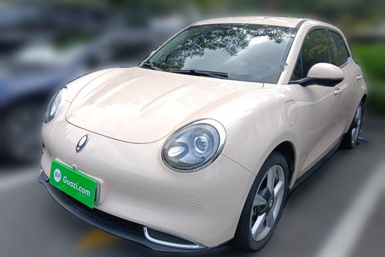 Used ORA Good Cat 2023 401 km Standard Range Luxury Version Lithium Iron Phosphate