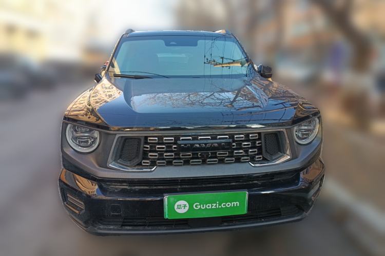 Used Haval H Dog New Energy 2023 DHT-PHEV 105km Tide Electric Version Plus Front