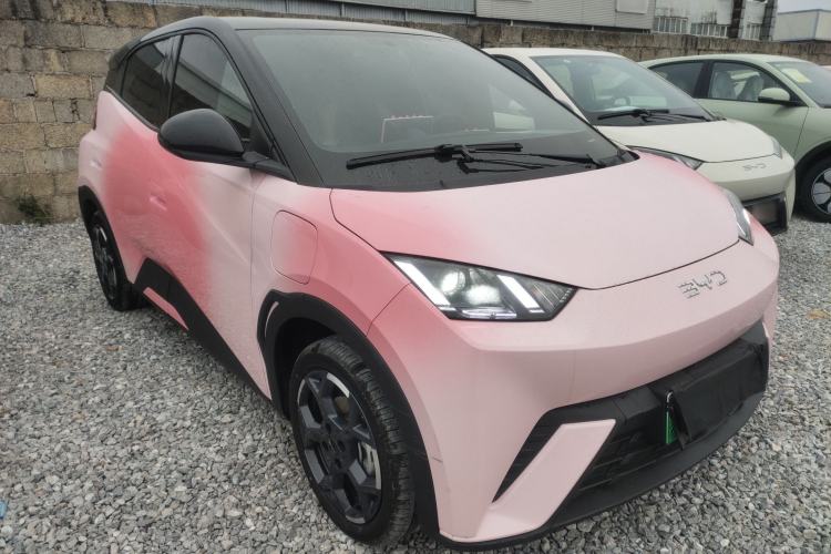 Used BYD Seagull 2024 Honor Edition 305km Freedom Version