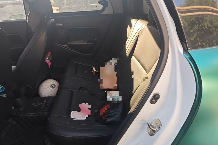 Used ORA Black Cat 2021 351 km Standard Version
