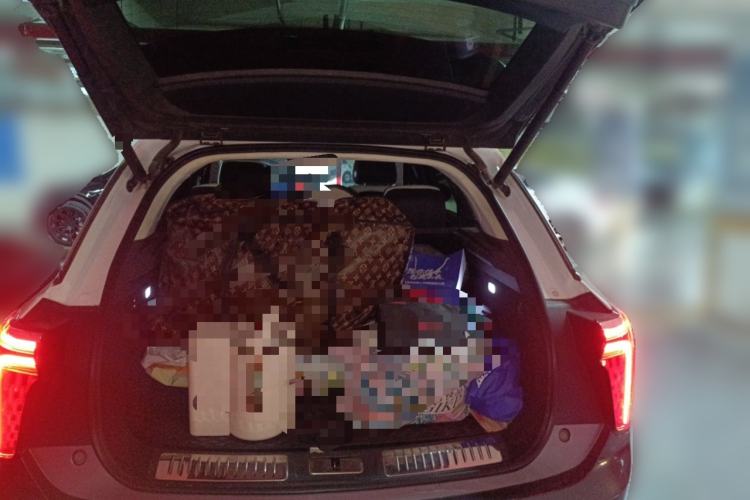 Used Hongqi E-HS9 2021 510 km Flagship Edition Four Seats
