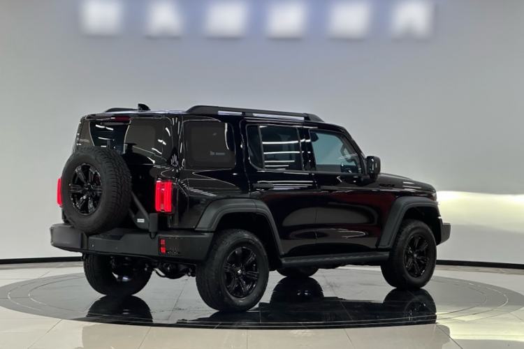 Used Tank 300 2025 2.4T Diesel Version
