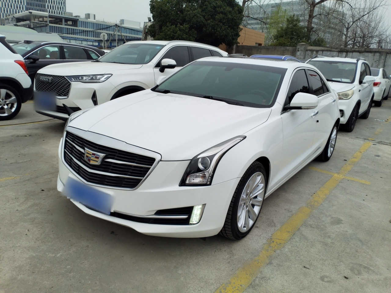 Parte inferior delantera