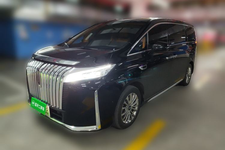 Used Wey Gaoshan 2023 Four-Wheel Drive Flagship Edition