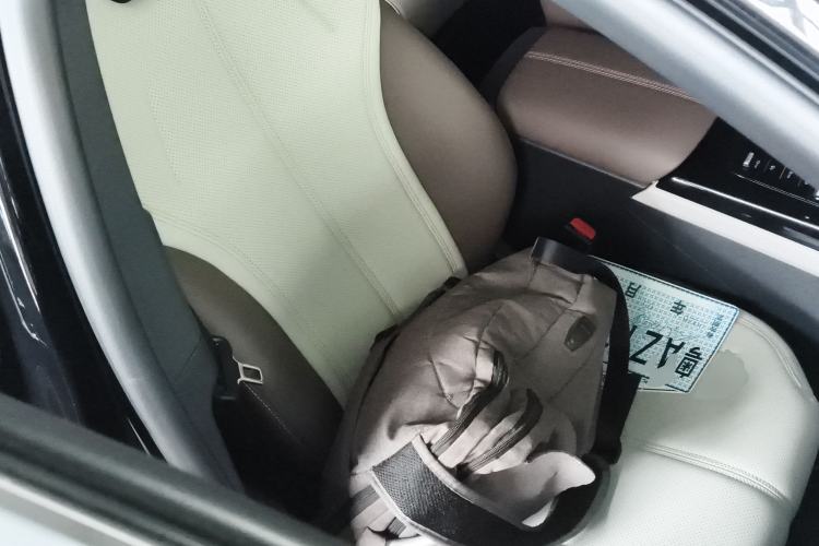 Used BYD Qin PLUS 2023 Champion Edition DM-i 55KM Leading Model Right Front Seat