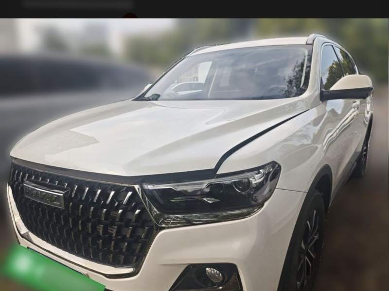 Used Haval H6 2023 National Trend Edition 1.5T Automatic Urban Version — 19