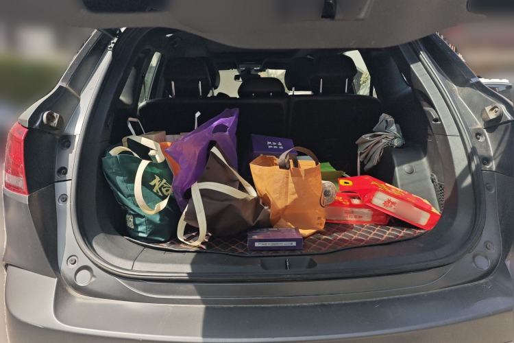 Used BORGWARD BX7 2018 2.0T TS Four-Wheel Drive Luxury Version China V
