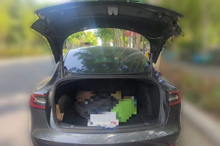 Used Tesla Model 3 2021 Performance High-Performance All-Wheel-Drive Version
