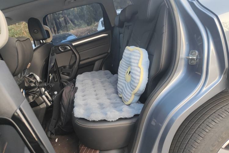 Used Haval DARGO 2021 2.0T DCT 4x4 Chinese Rural Dog Edition