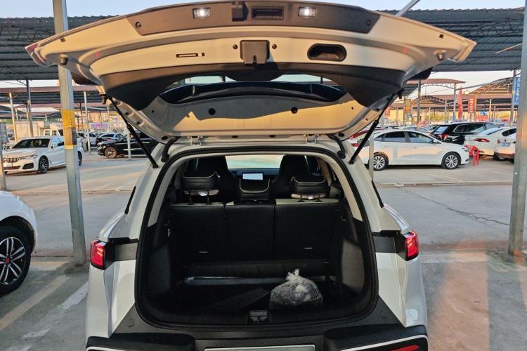 Used BYD Yuan UP 2025 Model 301KM Leading Version
