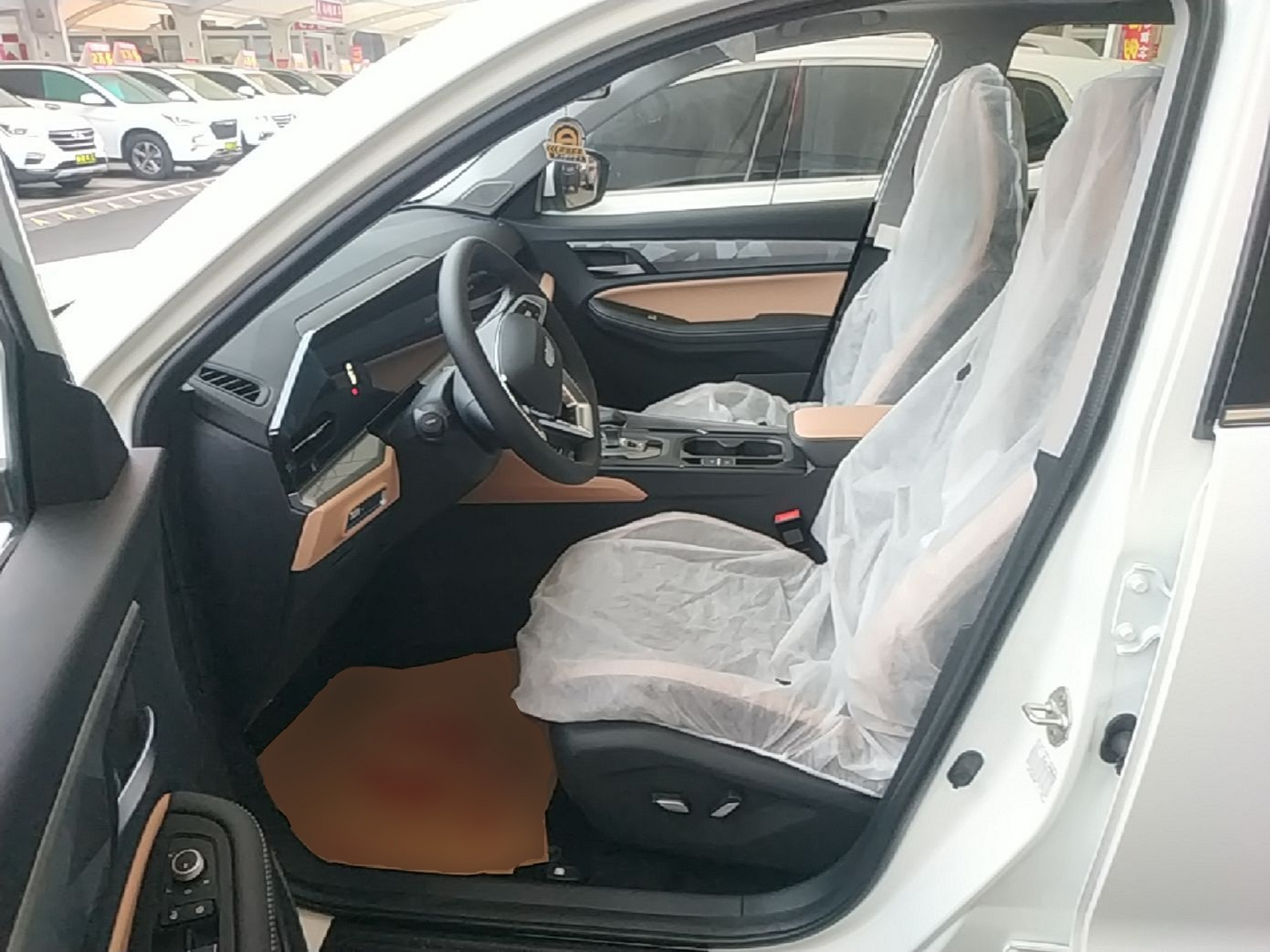 Interior delantero