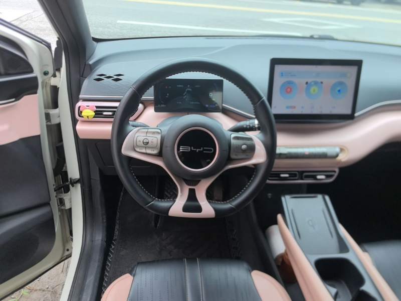 Used BYD Seagull 2023 Free Edition — 10