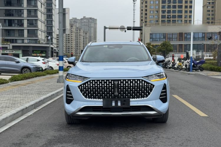 Used Wey Mocha 2021 2.0T Four-Wheel Drive Premium Edition