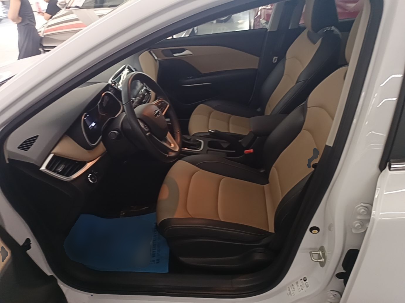 Interior delantero