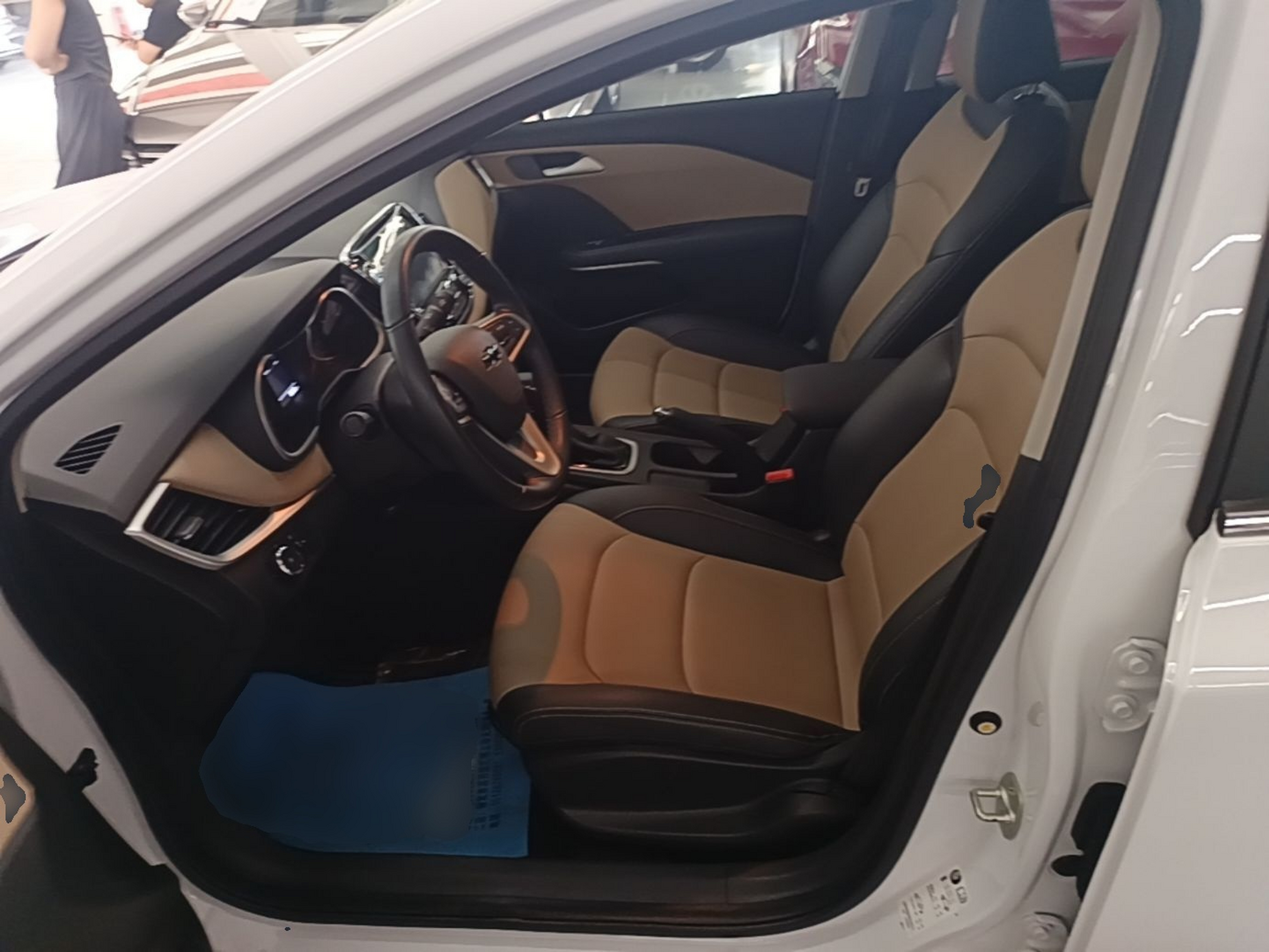 Interior delantero